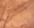 Warm sandstone rock texture background with natural brown patterns. Royalty Free Stock Photo