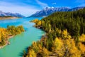 Abraham Lake with turquoise water Royalty Free Stock Photo