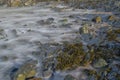 Long exposure. Waves over rocks and spiral wrack seaweed. (Fucus spiralis)