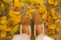 Warm slippers shoes standing in many fallen maple leaves from above Royalty Free Stock Photo