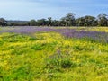 Plenty Gorge Parklands in Australia