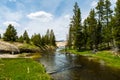 A warm summer day. Green meadow with yellow flowers. Summer landscape in the mountains. Yellowstone river , National Park, Wyoming Royalty Free Stock Photo