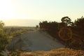 Warm summer landscape sand yellow dark trees and grass against the blue sky at sunset Royalty Free Stock Photo