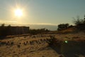 Warm summer landscape sand yellow dark trees and grass against the blue sky at sunset Royalty Free Stock Photo