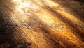 Warm Sunlight on Brown Wooden Planks Texture Royalty Free Stock Photo