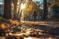 Autumn walk in a sunlit park with fallen leaves Royalty Free Stock Photo