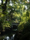 Warm sunny evening in traditional Chinese garden