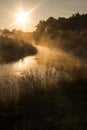 Golden sunny foggy polish lake Royalty Free Stock Photo