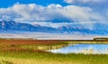 Warm sunny wetland