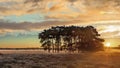 Warm sunrays over a tranquil moor during daybreak at Regte Heide, Goirle Royalty Free Stock Photo