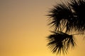 Warm Sunrise, Port St. Lucie, Florida