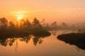 Warm sunrise at a swamp covered in fog. Sunshine beats through the thick mist with tree silhouettes and a path at Kemeri National