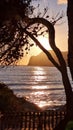 Warm sunset light over the waters of Mallorca coastline featuring pine tree branches in the foregorund, Royalty Free Stock Photo