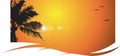 Warm sunset with palm tree, tropical Royalty Free Stock Photo