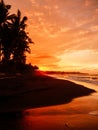 Warm sunset or sunrise with ocean waves and palms at black sand beach