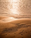 Warm sunset on textured sand beach