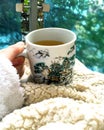 Warm tea for cold days Royalty Free Stock Photo