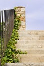 Warm tone stairway to bright sky with green plant crawling up the stairs and a brick pillar