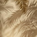 Warm Tropical Palm Leaf Shadows Cast on a Beige Wall