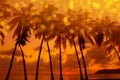 Warm tropical sunset on ocean shore with palm trees