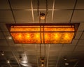 Warm and Unique Amber Commercial Light Fixture