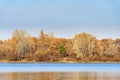 Warm view of trees close to the Dnieper river in autumn