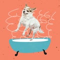 Contemporary art collage of cute dog, jumping into bathroom isolated over orange backgound