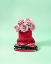 Warm Winter concept of bouquet of fresh roses in a vase of thick Christmas sweater. Creative concept on pastel turquoise