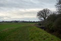 Warm winter in England. View with walkway, big tree, fields, village and forest