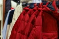 unisex down jackets on a hanger sale in the store Royalty Free Stock Photo