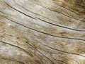 Warm wooden texture close up photo. Sepia beige wood background. Royalty Free Stock Photo