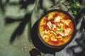 Warming autumn soup with red lentils, chicken fillet, vegetables, spices and paprika, comfort food. Green table, hard light with Royalty Free Stock Photo