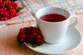Warming autumn tea with red viburnum berries