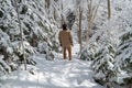 Warmly dressed man walks in the snow covered forest after a blizzard Royalty Free Stock Photo