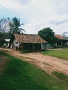 The warmth of the country side in the afternoon