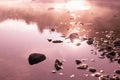 Warmy pink sunrise sunlight on quiet water surface of lake, haze, golden ripple sun glares, blinks, reflection, stones on shore.