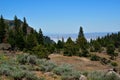 Warner Mountains, Modoc County, California