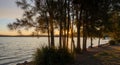 Warners Bay, Lake Macquarie at sunset, NSW Australia Royalty Free Stock Photo