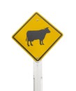 Warning Cows icon yellow road sign on white Royalty Free Stock Photo