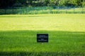 Warning label on the meadow Gatchina park. Inscriptions in Russian and English: please do not walk on the lawns.