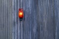 Warning light on corrugated iron sheeting outside construction site Royalty Free Stock Photo