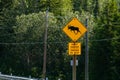 Warning for moose on the road sign Royalty Free Stock Photo