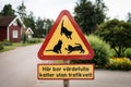 Warning road sign: be careful, cats on the road