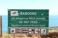 Warning sign for baboons at at the Cape Peninsula Royalty Free Stock Photo