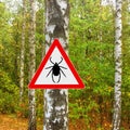 Warning sign beware of Ticks in infested area in birch forest Royalty Free Stock Photo