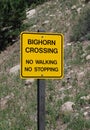 Warning sign: Big Horn Sheep Crossing