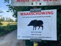 Warning sign with a black wild boarTranslation: Warning, Wild boars have been observed in this area