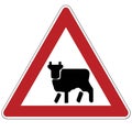 Warning sign. Cattle driving. Russia