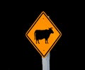 Warning sign for cow on white pole black background