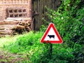 Warning sign for cows crossing near far on road. Agriculture animal signs. Royalty Free Stock Photo